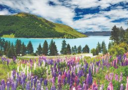 9 Stops That Will Take Your Breath Away on a South Island NZ Road Trip