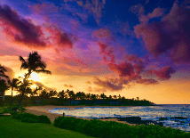 Maui | TravelManagers