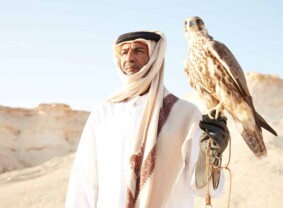 Falcons - highly honoured and celebrated as the national bird of Qatar
