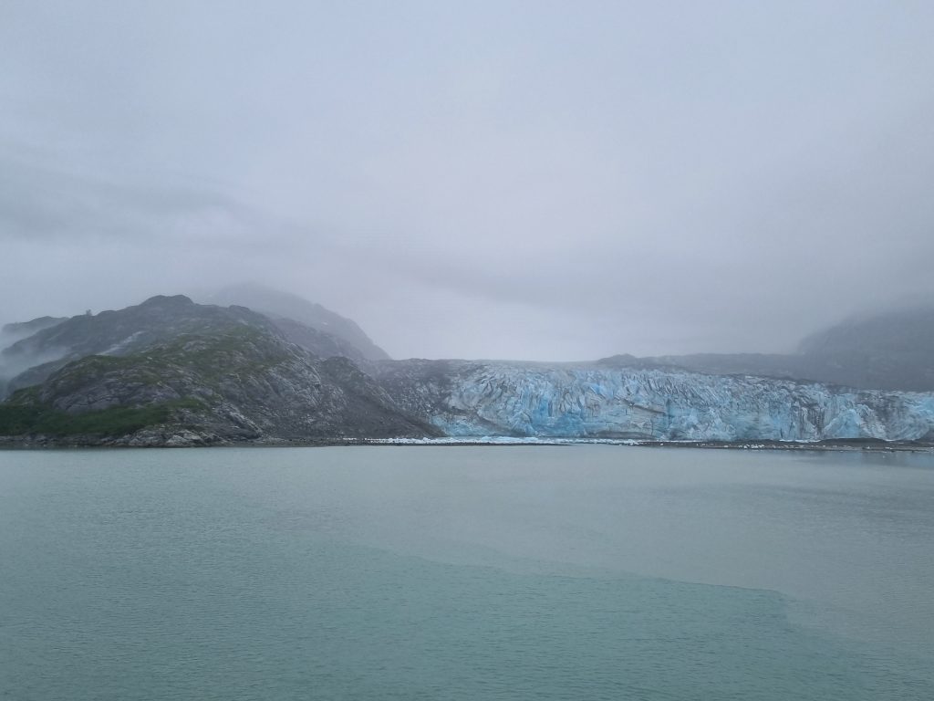 At Lamplugh Glacier, Glacier Bay
