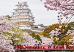 Selecting your shoreside experiences