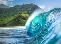 Wave in Hawaii