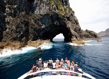 Bay of Islands cruise