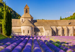 The best lavender farms in Provence