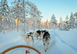 Ten must-do adventures in Lapland, Finland