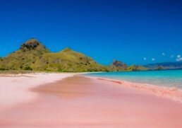 The incredible pink sand beaches you have to see to believe