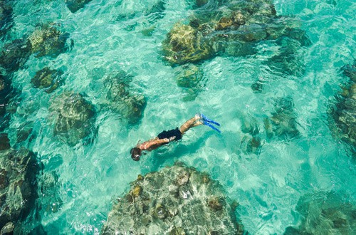 <em>Snorkelling at Great Barrier Reef, Australia</em>