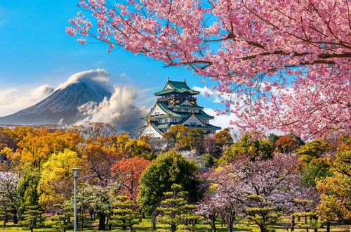 <em>Osaka Castle and full cherry blossom</em>