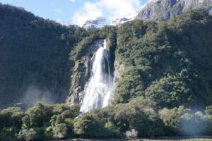 A thundering waterfall crashing down the side of a forested mountain in Milford sound.