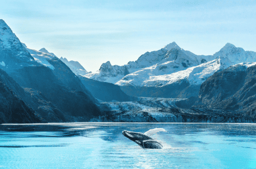 <em>Luxury cruising in Alaska</em>