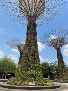 Cruising through Asia- Onboard the Norwegian Jewel - pictured Gardens by the bay singapore