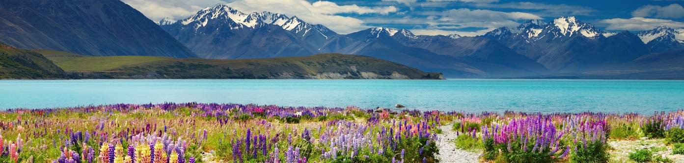 Exclusive: Save up to $750 on NZ luxury coach tours