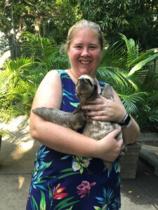 Family cruising- baby sloth