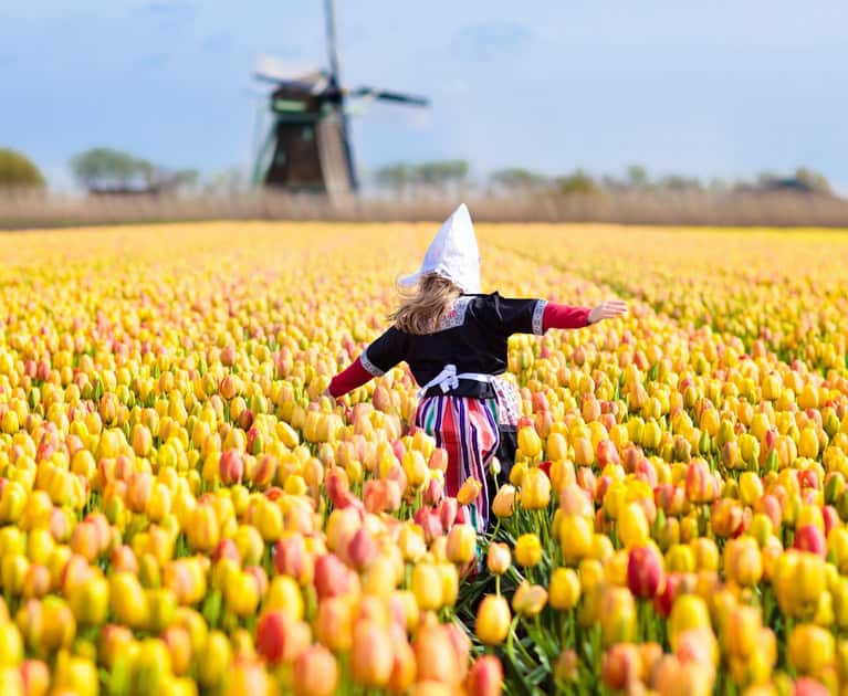 Your cruise includes: