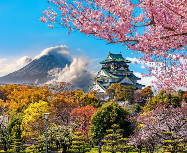 Your package includes: