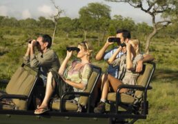 Everything You Need to Know Before Your First Safari Holiday
