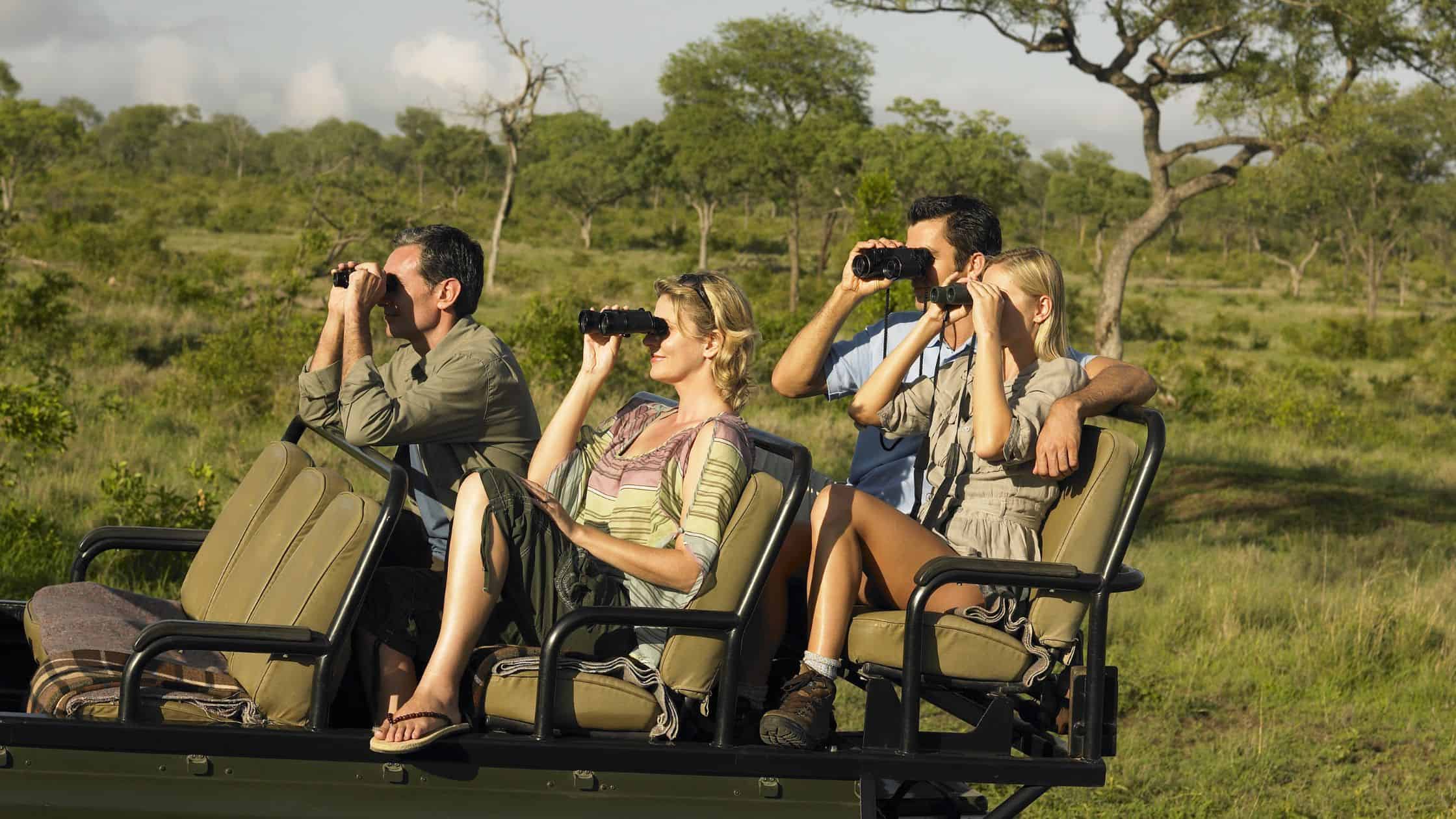 Everything You Need to Know Before Your First Safari Holiday