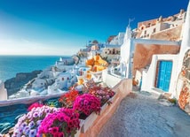 Sunny view of Santorini with vibrant flowers, white buildings and sparkling water in the distance