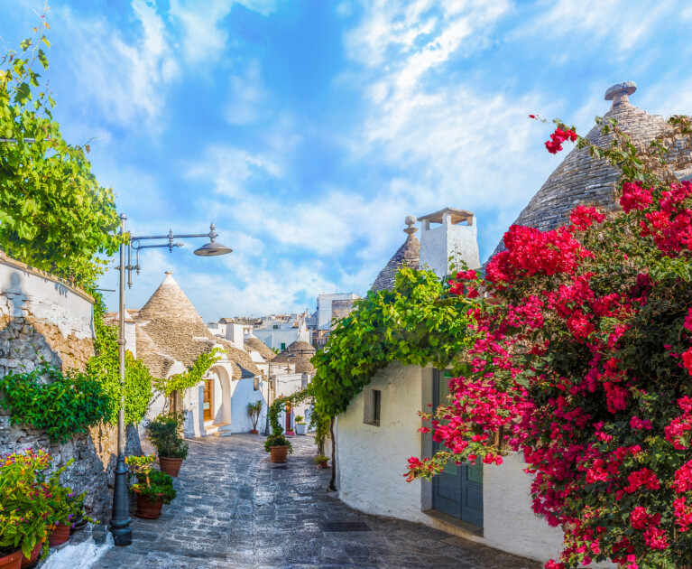 Inclusions & Exclusions