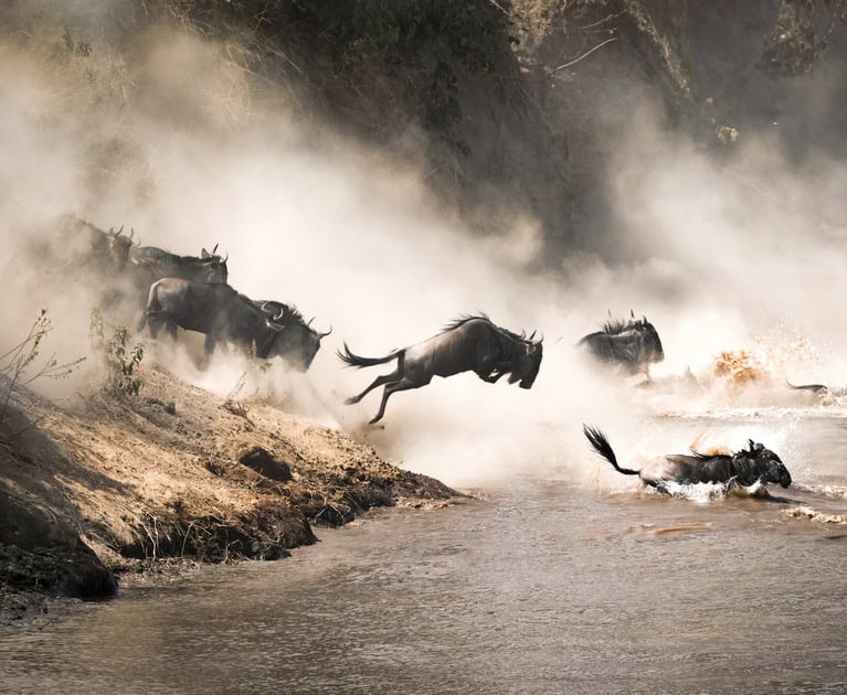 Your package includes: