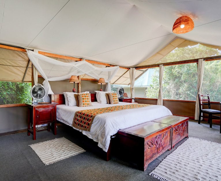 Your Package Highlights: