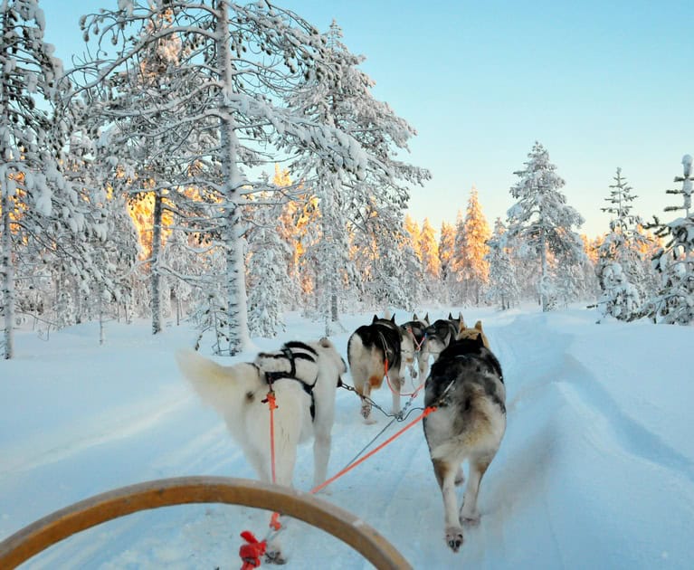 Your package includes: