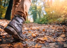 Small group tours - walking tours