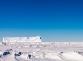 Expedition cruising - Antarctica