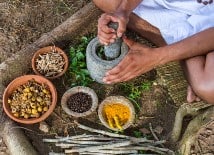 Small group tours - spices