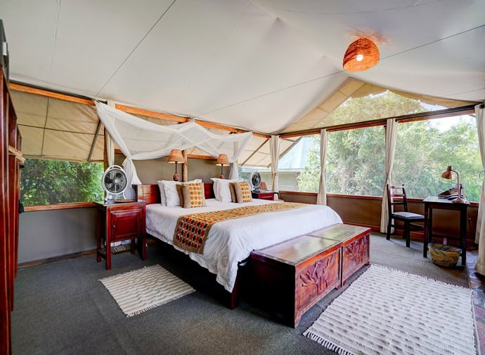 Day 4: Bwindi Impenetrable Forest National Park- Queen Elizabeth NP