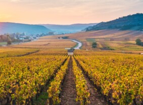 Small group tours - Burgundy, France