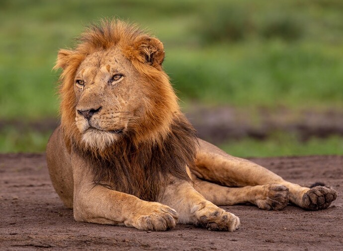 Day 6: Southern and Northern Queen Elizabeth National Park 