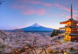 Solo But Safe: the Best Locations if You’re New to Solo Travelling