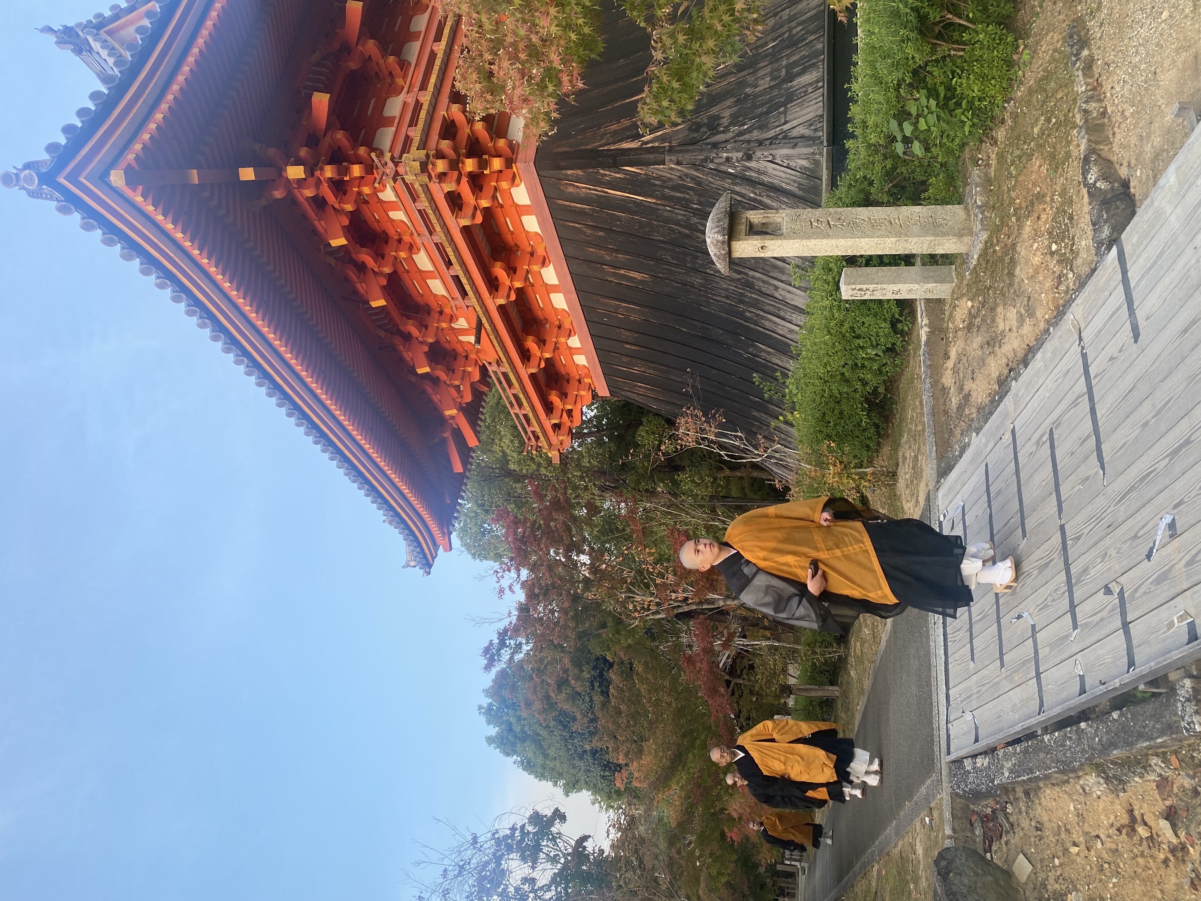 Japan Uncovered: Temples, Markets & Surprises Around Every Corner