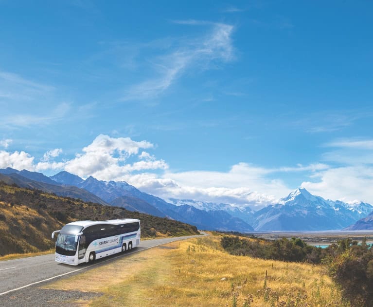 Your package includes: