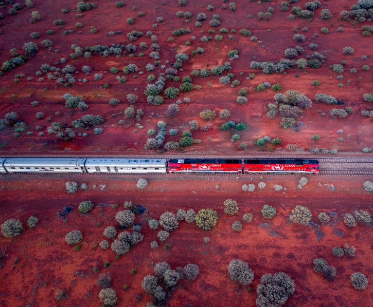 Your package includes: