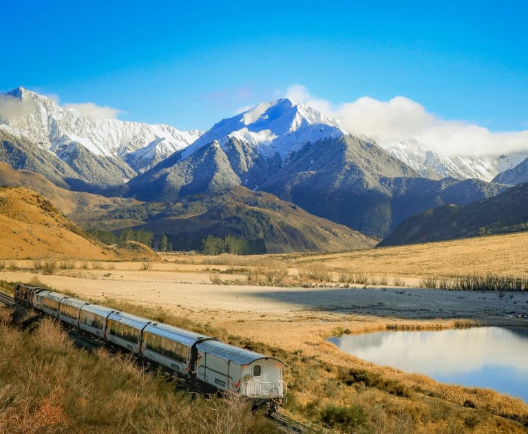 Your package includes: