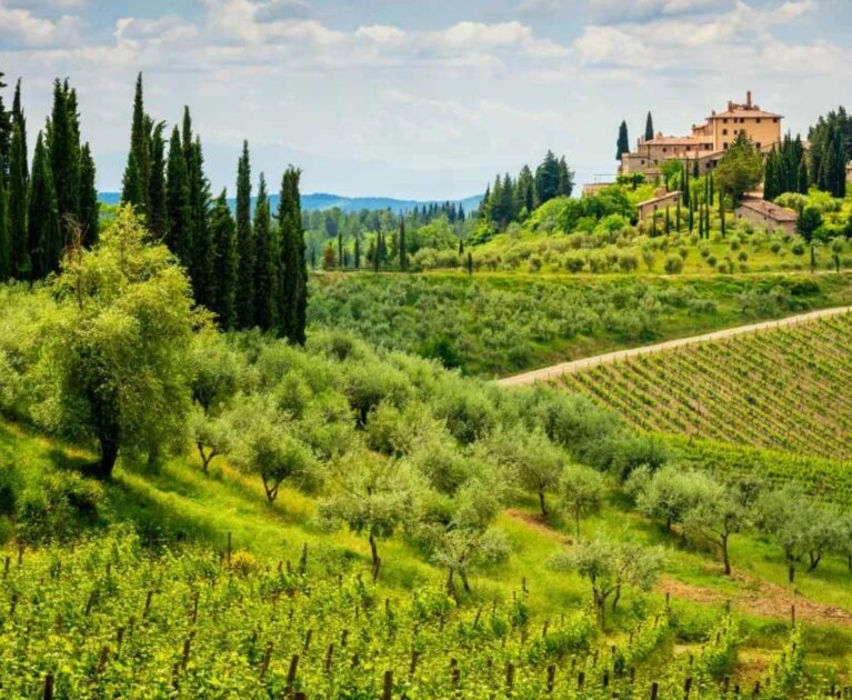 The Tuscan Women’s Leadership Table A Strategic Business and Culinary Retreat