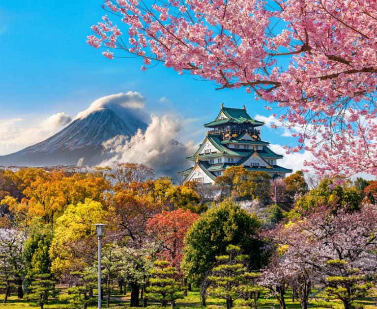 Always included on your tour: