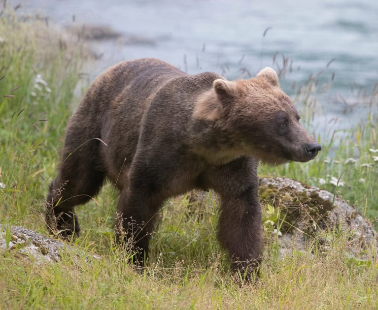 Your package includes: