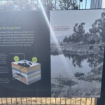 La Brea Tar Pits