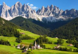 The Rise of the Skillcation