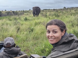 Game Drive in South Africa