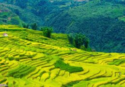 11 Best Wellness Travel Destinations in the World