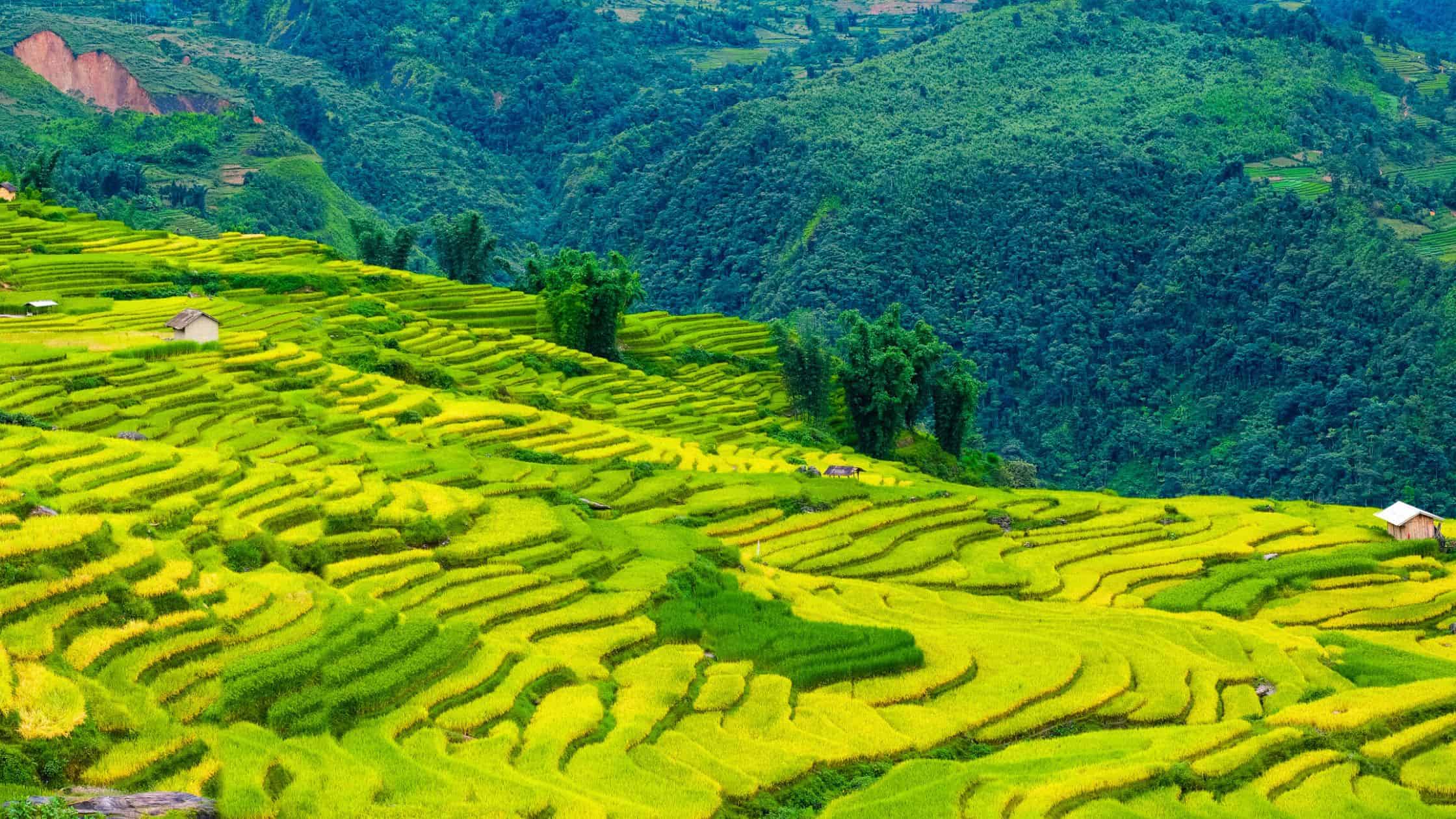 11 Best Wellness Travel Destinations in the World