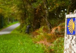 Walking the Camino de Santiago: First-Timer Guide