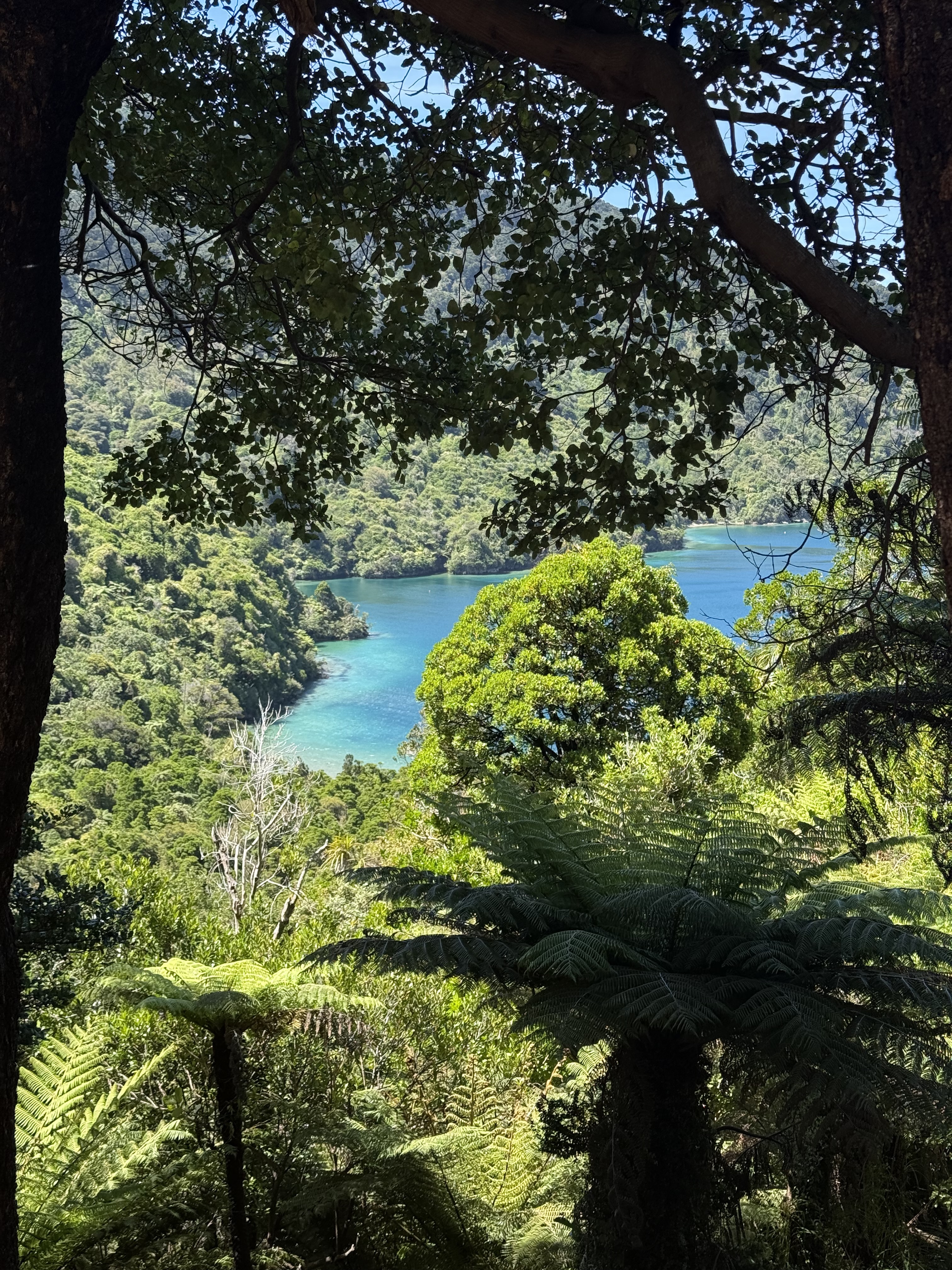 Small-Ship Cruising Through New Zealand’s Marlborough Sounds