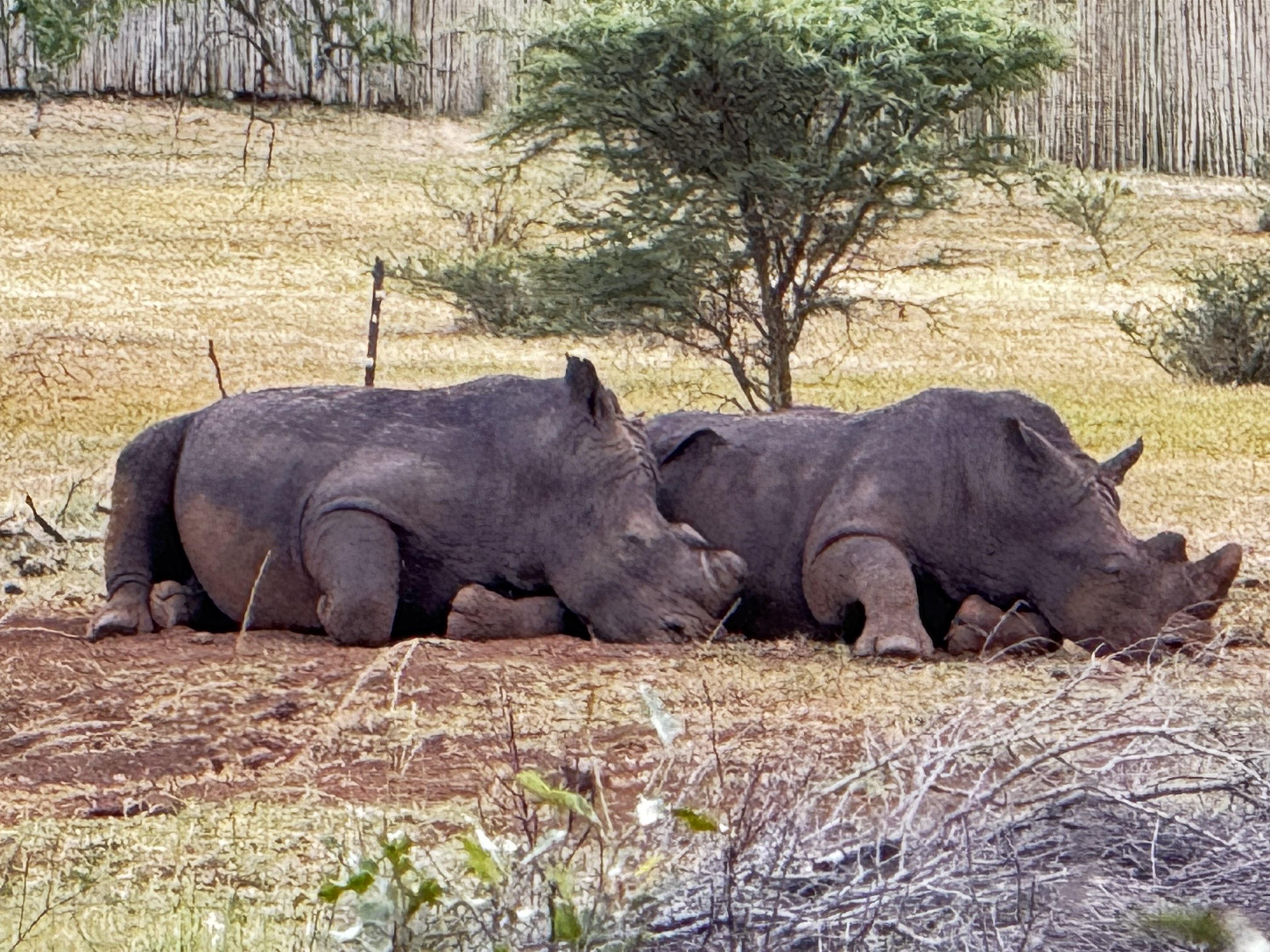 South Africa Is So Much More Than Kruger — And This Trip Proved It