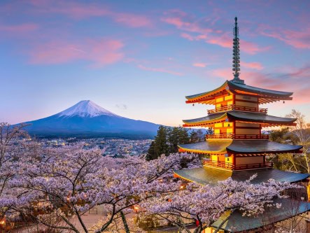 Save up to $11,000* per suite on Asia cruises