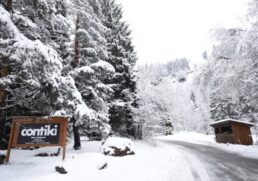 Contiki Europe: top experiences